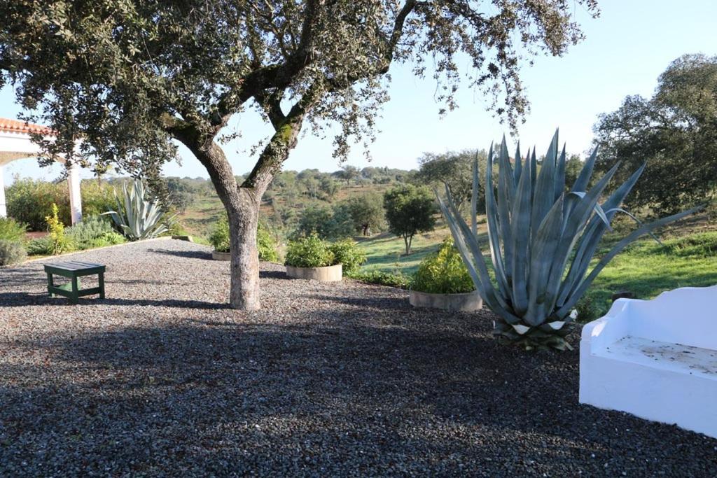 Appartamento Monte Novo Da Sobreira, Rust En Ruimte In Zuid Alentejo Ourique Esterno foto