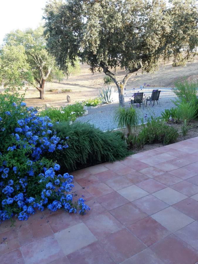 Appartamento Monte Novo Da Sobreira, Rust En Ruimte In Zuid Alentejo Ourique Esterno foto